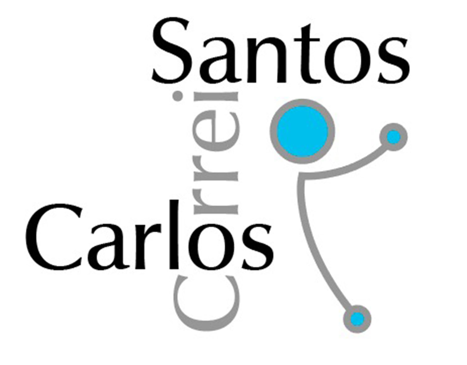 Artista Carlos Correia Santos